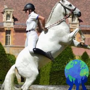 Meet your Posher, Nina